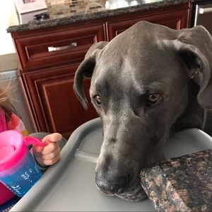 Meet your Posher, Gerri